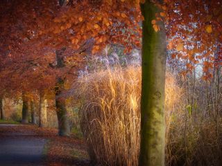 فال روز دوشنبه ۱۰ آگوست - ۲۰ مرداد