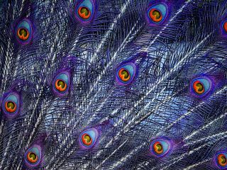 فال روز سه شنبه ۱۱ آگوست - ۲۱ مرداد