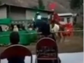 جفتگیری اسب شمر و یزید در وسط مراسم تعزیه