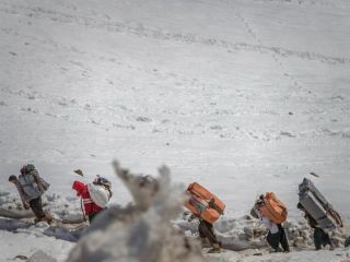 نماینده مجلس از کشته و زخمی شدن ۱۶۶ کولبر در یک سال خبر داد