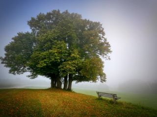 فال روز جمعه ۶ نوامبر - ۱۶ آبان