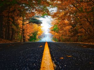 فال روز پنجشنبه ۱۲ نوامبر - ۲۲ آبان