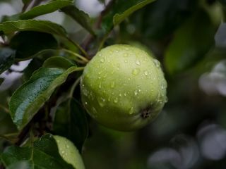 فال روز دوشنبه ۳۰ نوامبر - ۱۰ آذر