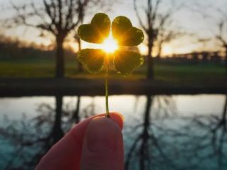 خوش‌بینی باعث طول عمر تا ۸۵ سالگی و بیشتر است