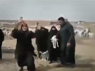 دزدى گوسفندان مردم توسط مرزبانی در مرز ایران و عراق