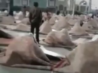 استفاده از قالی های مسجد به عنوان پتو در مراسم دعای کمیل در شرایط باد و سرمای زمستان