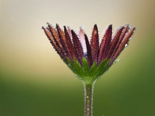 فال روز چهارشنبه ۱۷ مارچ - ۲۷ اسفند