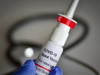 واکسن کرونا در شکل قطره بینی بدون هیچ عوارض جانبی