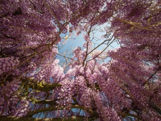 فال روز پنجشنبه ۶ می - ۱۶ اردیبهشت