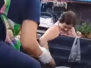 قورباغه فروشی سیار ، مشتری ها هم در حال سوا کردن چاق و چله ها