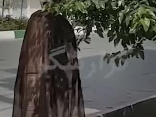 آخوند وسط ماه رمضان مشغول خوردن شاه توت از درخت است