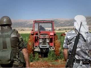 تجارت پرسود «برادران قاچاقچی » با استفاده از «عروس خاورمیانه»