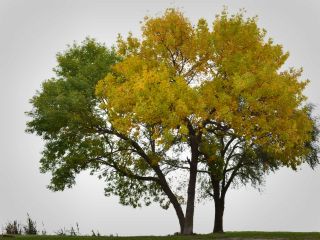 فال روز دوشنبه ۱۰ می - ۲۰ اردیبهشت