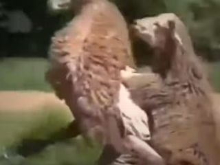 منو با خودت ببر ای تکیه گاه من!!