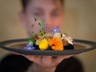 آیا میل دارید ؟ پاستای کرم شپشک با چیپس جشرات بوداده و ملخ سبز شکلاتی