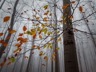 فال روز پنجشنبه ۱ جولای - ۱۰ تیر