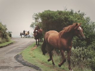 فال روز پنجشنبه ۸ جولای - ۱۷ تیر