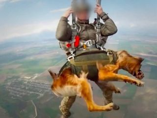 سگ های جنگی روسیه با چتر نجات فرود آمدند + ویدیو