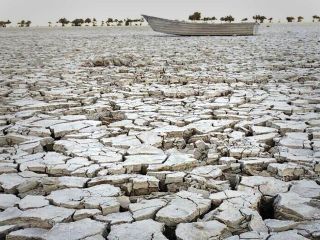 دو کارشناس محیط زیست: تالاب هورالعظیم را برای استخراج نفت خشک کردند !