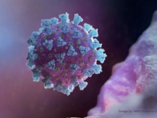 آیا دانشمندان چینی و آمریکایی در حال دستکاری ژنتیکی ویروس کرونا در ووهان بوده اند؟