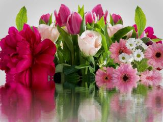 فال روز دوشنبه ۹ آگوست - ۱۸ مرداد