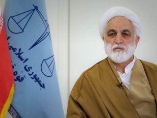 محسنی اژه‌ای: اگر ایرانیان خارج از کشور بیایند و به مسائل آنها رسیدگی شود، به نفع آنها است