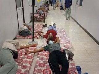 رئیس سازمان غذا و داروی ایران: از ما خواسته شد برای واردات سرم اقدامی نکنیم