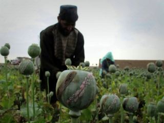 طالبان هزینه‌های مالی خود را چگونه تامین می‌کنند؟