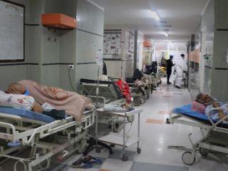 رئیس سازمان نظام پزشکی ایران: خیلی از بیماران مبتلا به کرونا بدون اخذ تست فوت می‌کنند