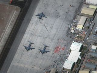 تفنگدار سابق بریتانیا با ۲۰۰ سگ و گربه و بدون کارکنان محلی از افغانستان خارج شد