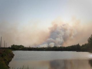 تالاب انزلی دو روز است در آتش می‌سوزد