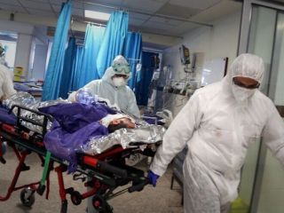 یک پزشک متخصص فاش کرد: قارچ سیاه از آبان پارسال وارد ایران شده بود