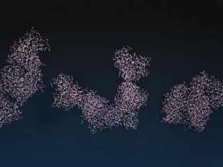 علت بیماری کووید مستمر یا پست کووید چیست؟