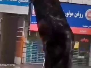 لحظه سقوط درخت روی پژو پارس در پی طوفان شهر گرگان