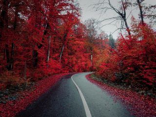 فال روز پنجشنبه ۷ اکتبر - ۱۵ مهر