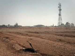 سناتور جمهوری‌خواه: ایران به نیروهای آمریکایی در سوریه حمله کرده است