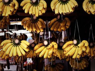 ترکیه ۷ پناهجوی سوری را به خاطر انتشار عکس خوردن موز اخراج می کند