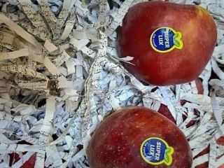 ماجرای هتک حرمت به قرآن در بین سیب‌های صادراتی چه بود؟