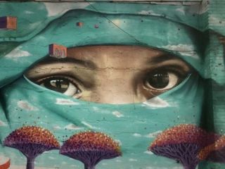 شهری که مسلمانان آمریکا اداره می‌کنند