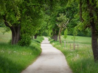 فال روز یکشنبه ۲۱ نوامبر - ۳۰ آبان