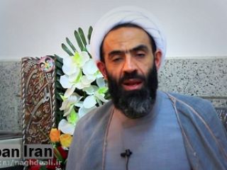 حجت الاسلام نقد علی: سگ گردانی برای مردم تبدیل به «کلاس» شده، جلوی این کارها را می گیریم