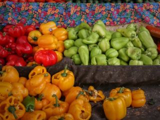 روسیه واردات برخی محصولات کشاورزی ایران را ممنوع کرد