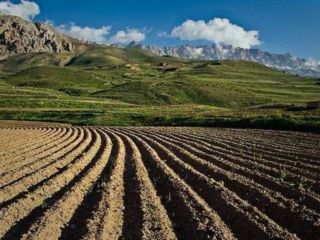 سازمان تحقیقات کشاورزی قاچاق خاک ایران را تایید کرد