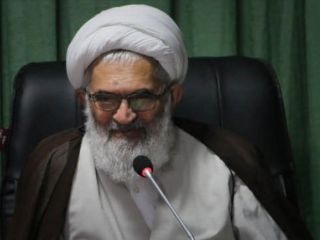 نماینده خبرگان : اگر سفر به ترکیه و آنتالیا برای عیاشی تعطیل شود، قیمت دلار این گونه افزایش نمی‌یابد