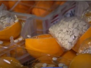 کشف ۹ میلیون قرص کاپتاگون جاسازی شده در درون پرتقال در بندر بیروت