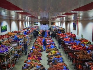 واکنش شهردار تهران به خبر «اتوبوس‌خوابی»: پولی نمی‌گیریم