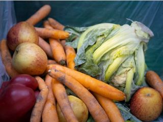 افشای سابقه سی ساله معضل وجود سم در محصولات کشاورزی ایران