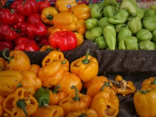 جمهوری آذربایجان محموله‌های فلفل ایرانی آلوده به «ویروس خطرناک» را امحا کرد