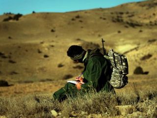 رئیس کل دادگستری استان کرمانشاه: حکم اعدام برومند نجفی علمی و درست است