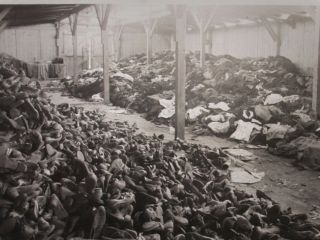 سازمان ملل قطعنامه محکومیت انکار هولوکاست را تصویب کرد